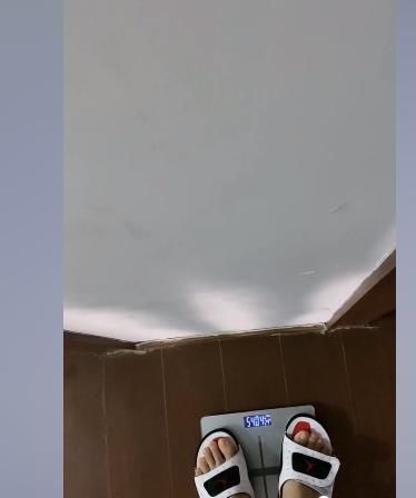 无意|九天狐开启早睡早起打卡挑战，无意暴露这一秘密，惹网友围观