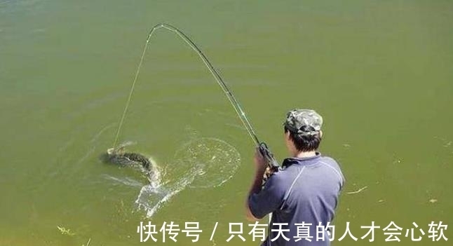 夏季|夏季雨天难钓鱼？没料到我只用了3招，鲫鲤鱼上个不停