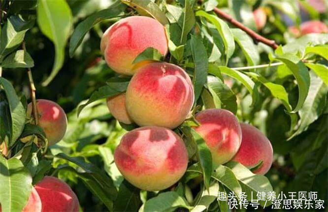 聪明的人爱吃几种食物,补充营养,延缓衰老,早吃早好