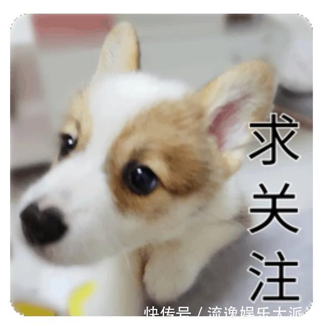 舌癌|体重430斤，遭母亲嫌弃，两年时间只睡椅子，今已减重120斤
