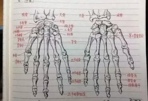 大学专业笔记火了，被专业耽误的“美术大师”，老师看后也称赞