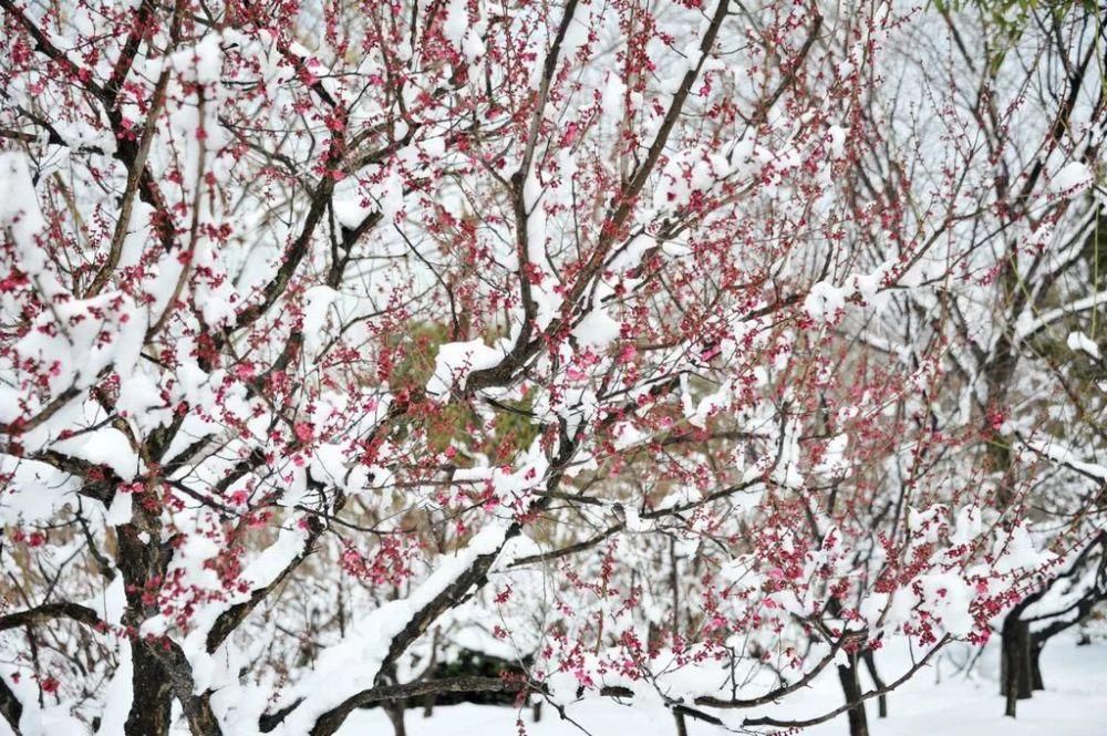 雪漫|雪漫中国，绝色江山！