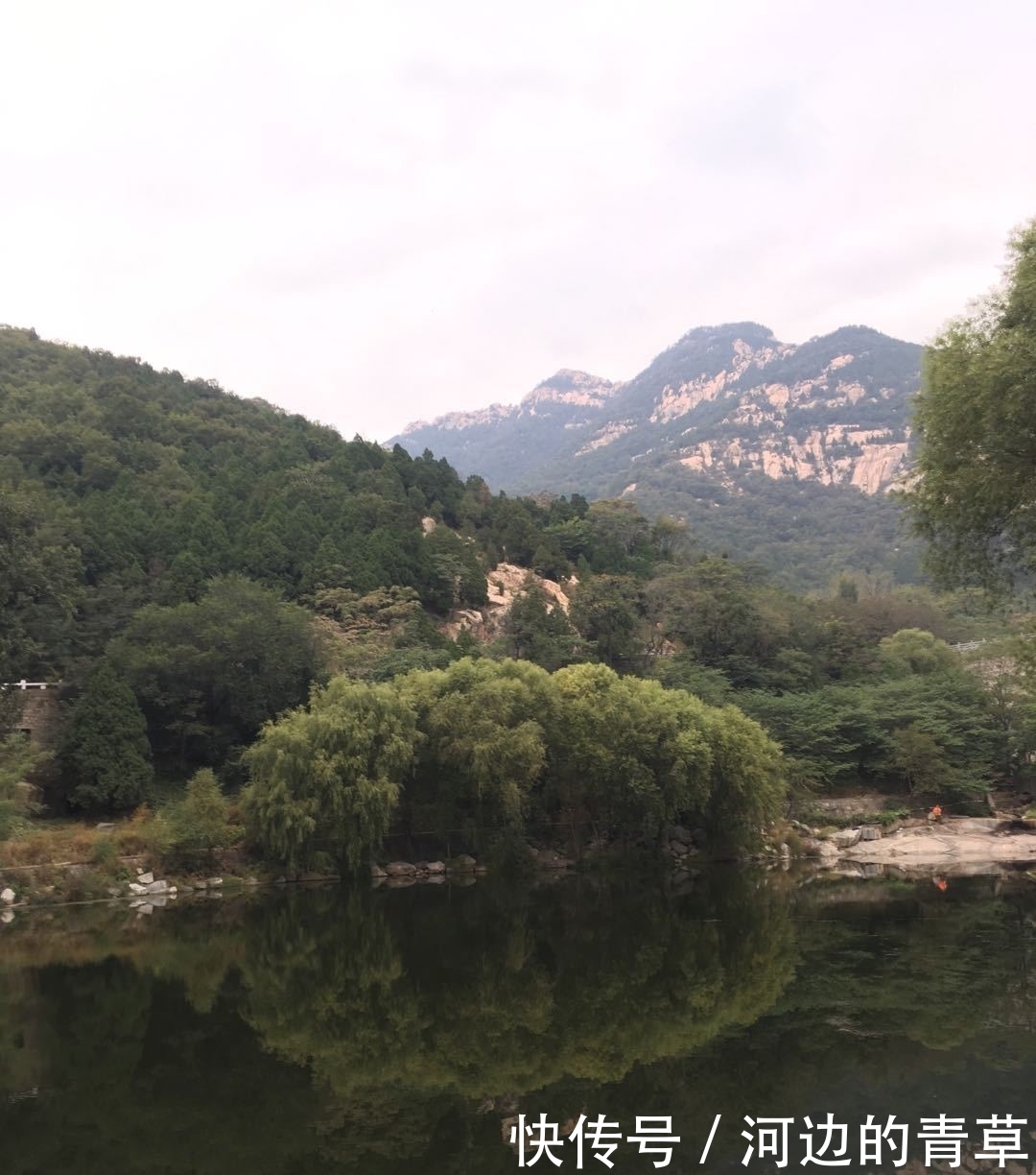 创作者|抄袭,伪作,侵权——原创作者要维权