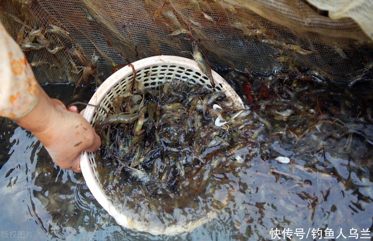 古村|死去的河北明珠——易水湖，再也没有鱼和虾，只剩下了游客