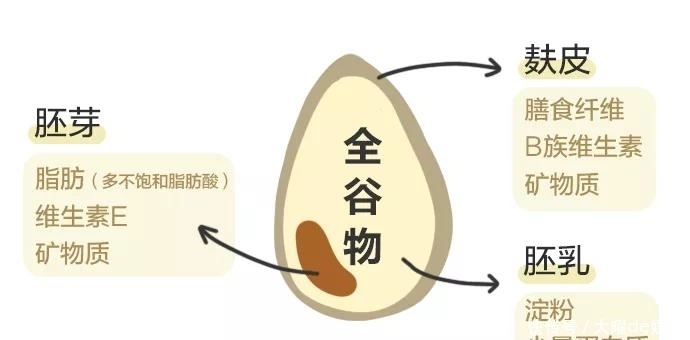 50萬(wàn)人研究發(fā)現(xiàn),全谷物飲食可防癌