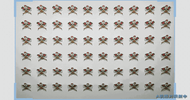 再现“水哥”名场面！鬼才之眼PK毫米级微雕，极客版最强大脑来了