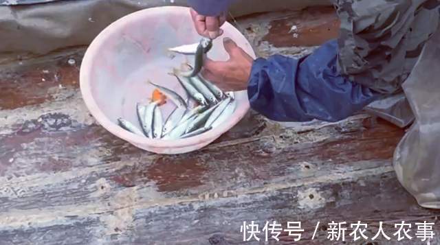 青占鱼|简单粗暴的钓鱼方式，山东一男子玩出了新花样，一秒钟钓一条鱼