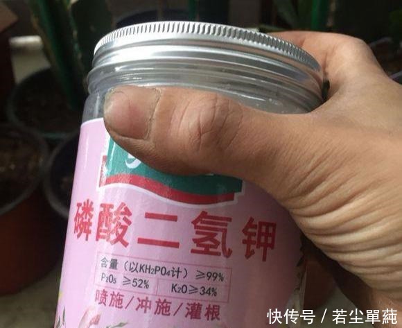 养花不开花用点“它”，催花好“助手”，喷一点点，花量翻倍！