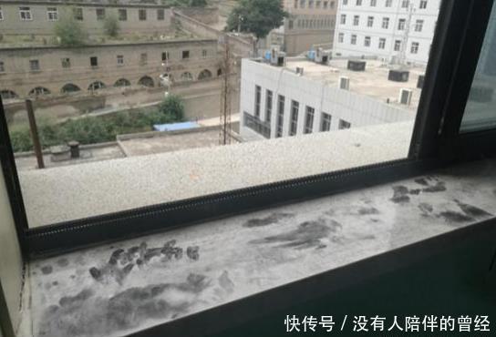 杨主任|产妇坠楼身亡,院方我们还没决定是剖腹产还是顺产时孕妇已跳楼