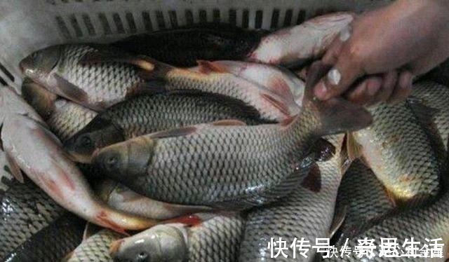 淡水鱼和海水鱼做法真不一样,大多数人做错了,弄懂买鱼心里有底!
