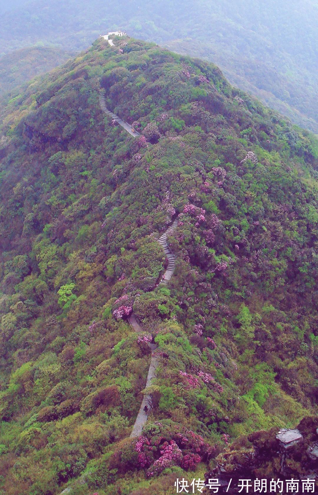 孙玉洁|夏日秘境快来梵净山感受动画里的夏天