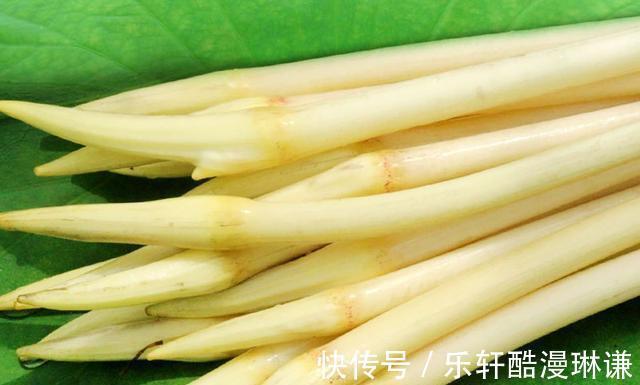 白醋|夏天吃这个季节性强，营养丰富，做法多样每一种都是美味