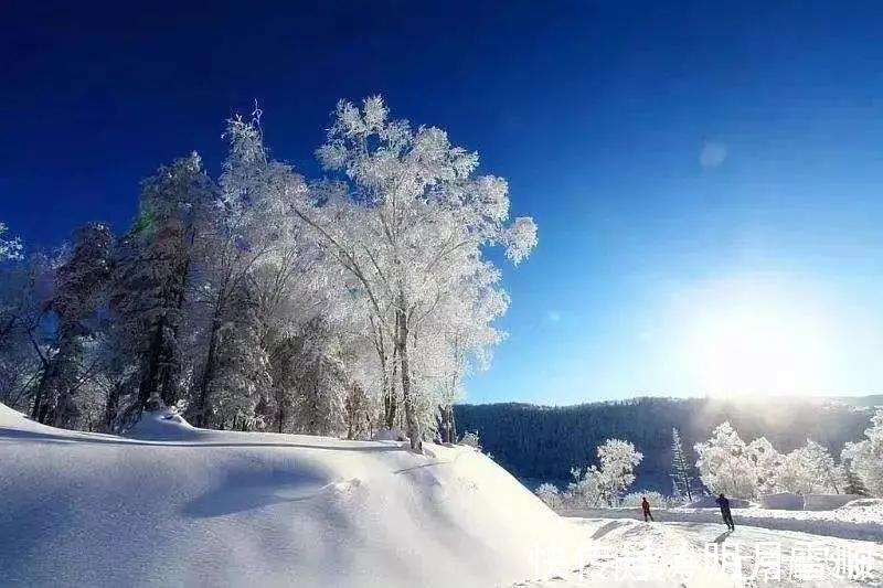 滑雪场|长白山现在美疯了！莫负冬日风景，约吗？