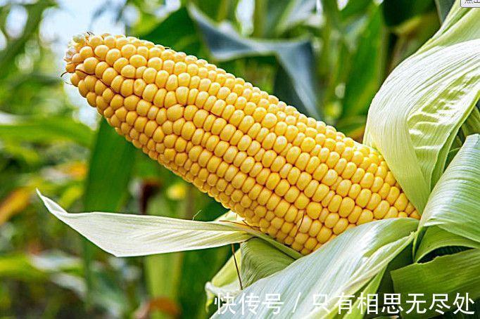 防癌|几种天然抗癌食物很常见,坚持每天吃点,助你防癌抗癌更长寿