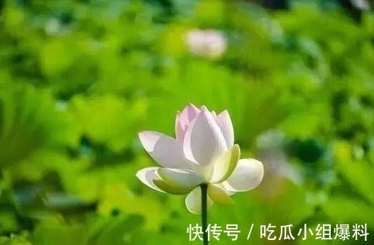 钱库|12月中旬，4属相事业红红火火，生活顺风顺水，福气满满