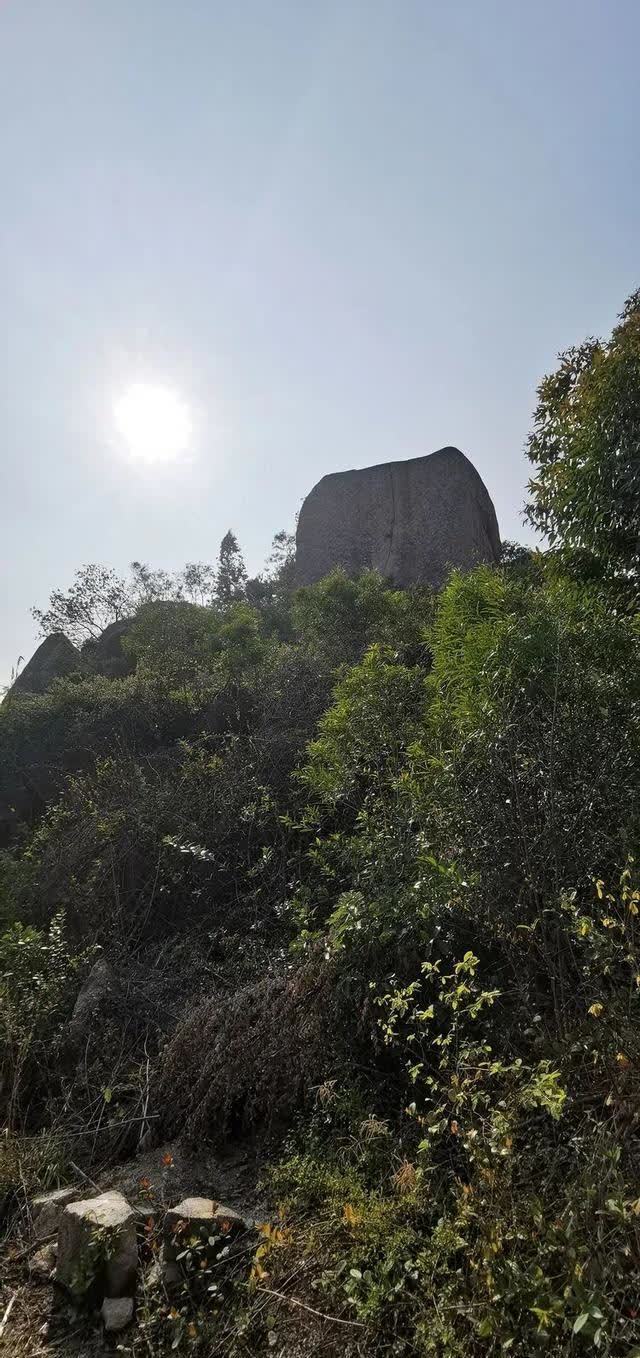 春日再游香山（作者：漳浦 宽心）