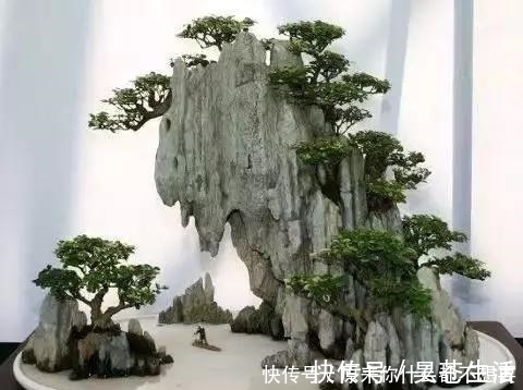 盆栽|世界上又一奢侈品《盆栽》一盆就是一座房子！