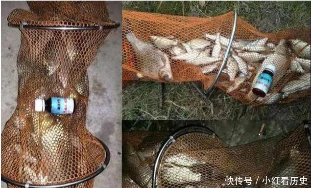 别再七想八想，“征服”黄颡鱼就得用这钓法，不料刚一下竿就有口