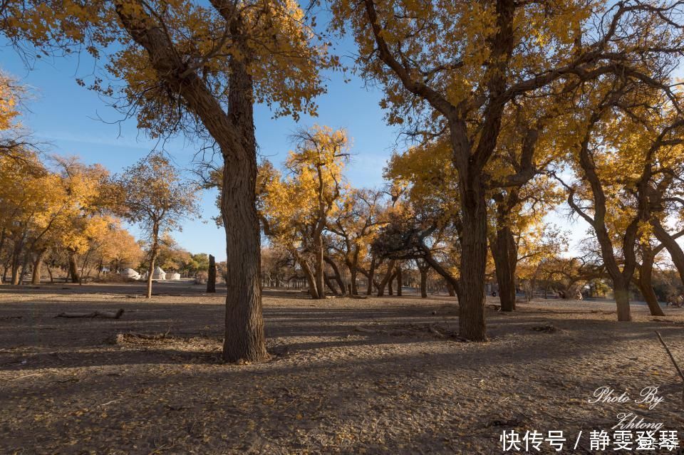 电影《英雄》取景地--内蒙额济纳，记录炫丽迷人的七彩丹霞地貌