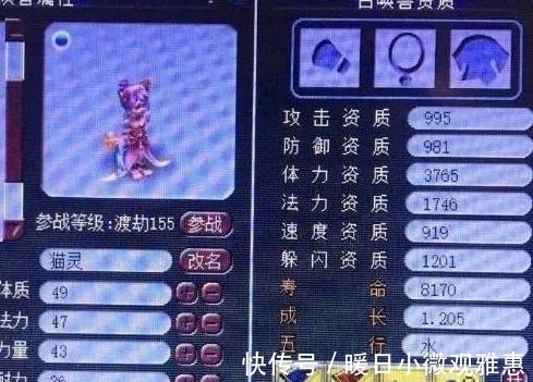 兽态|梦幻西游：攻资1600，成长近1.3，强力攻法双修猫灵，任务小能手