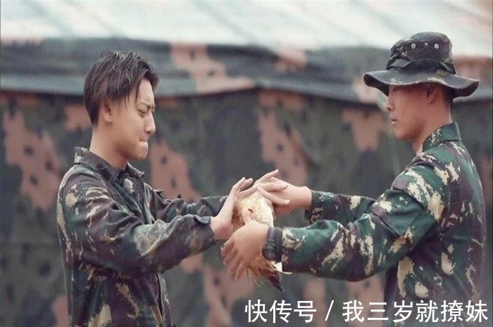 杏仁核|没有与鸡有过任何接触,却莫名其面害怕,这到底是什么原因?