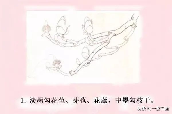 鸳鸯#图文教程——工笔玉兰画法