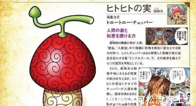 恶魔果实图鉴|海贼王草帽团恶魔果实图鉴公布,4人全把果实能力发挥到了极致