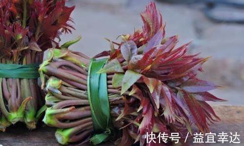 小儿麻疹|夏季养生，推荐3种食物，排毒瘦身，袪皱润肤，清理体内毒素