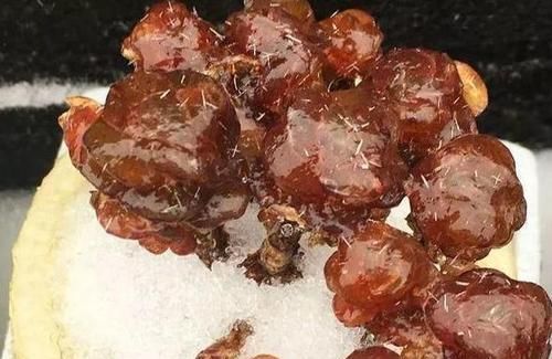 寒潮来袭，阳台养的多肉出现“这3级”冻伤，别扔掉还有救！