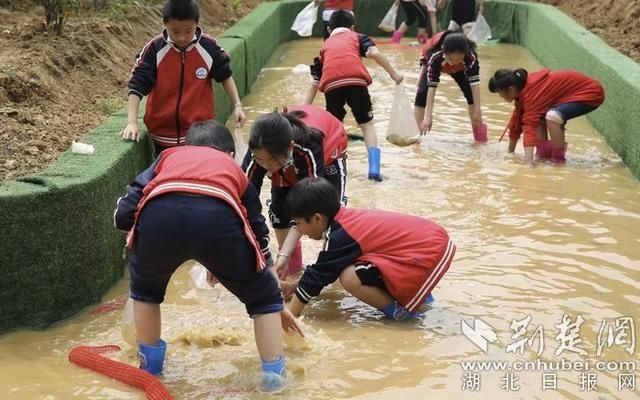 江夏区文化路小学开展课外研学活动