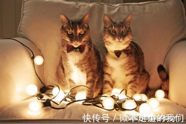 |内涵段子:我有个闺蜜,她曾是个淑女......