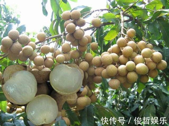 我们的日子|经常失眠不用怕,常吃此2种小零食,安神、补气血,自然睡得香