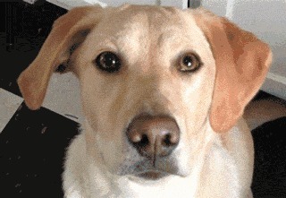 |搞笑GIF:姑娘 你这一字马厉害了 把旁边的小哥都吓跑了