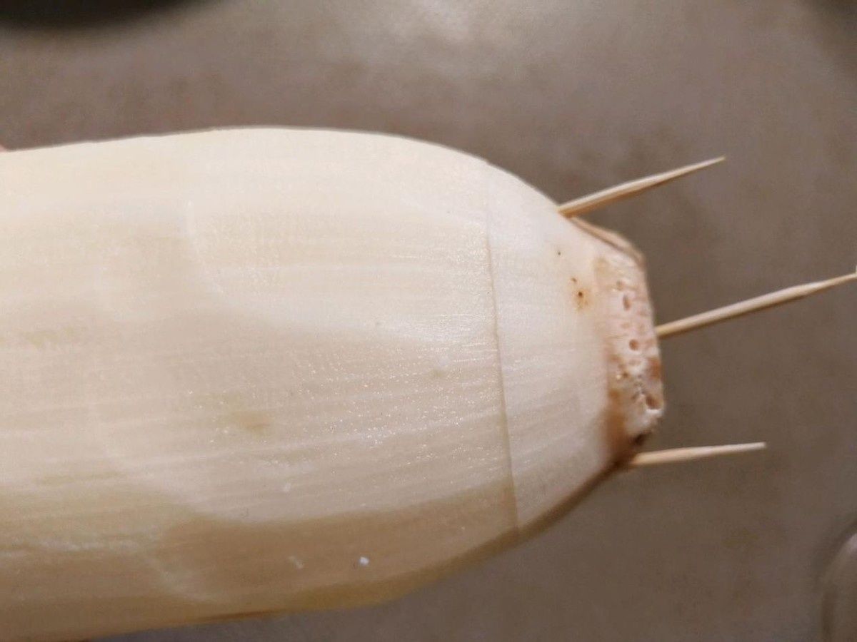 秋季养生小甜品:桂花糯米藕,制作简单,甜而不腻