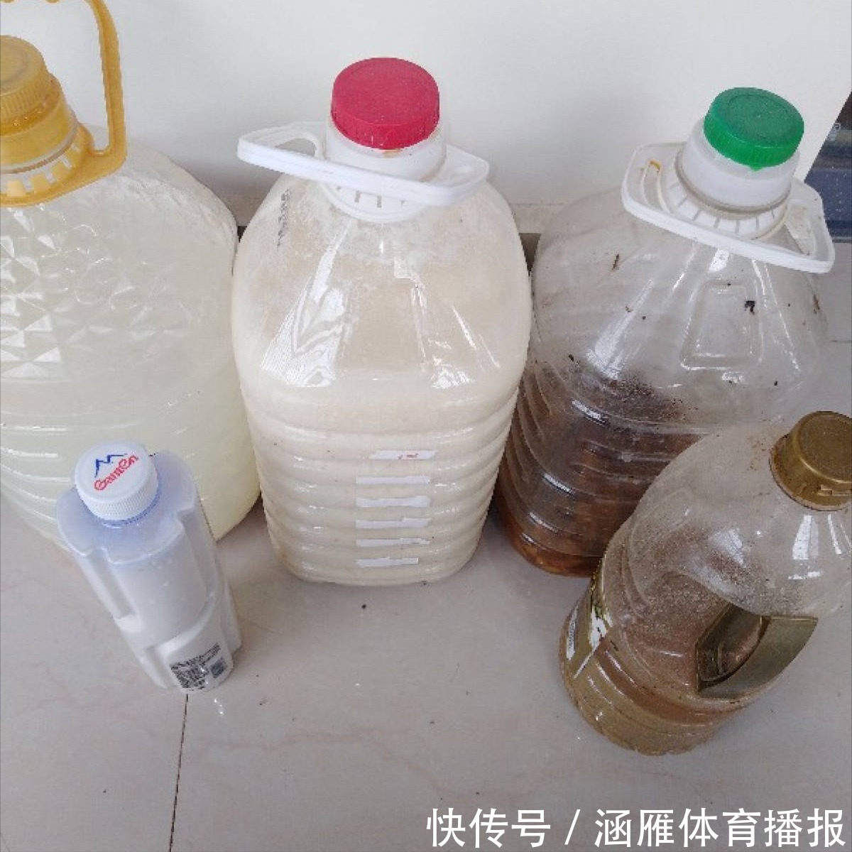 蟹爪兰喂点“大肥水”,叶片硬如铁,花苞鼓满盆,开花一百朵