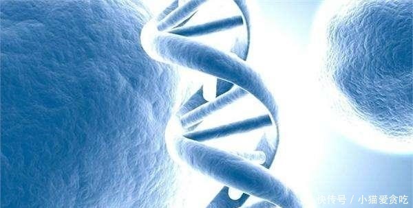 若干年后,人类或将进化成五种生命形态,你想成为哪一种呢