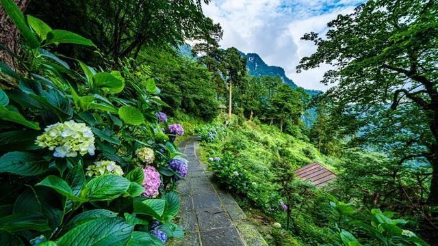 神秘感|峨眉山自带神秘感的云中寺院，有你不曾见过的美