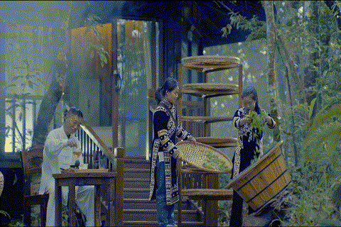 普洱市 普洱:“象”见恨晚的地方