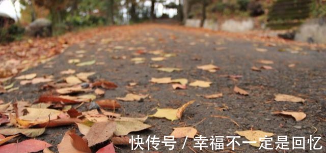 中秋&苏轼最孤寂的一首词,开篇12个字直指人心,堪称神来之笔!