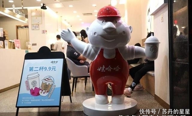 奶茶|我们笑着去了娃哈哈奶茶店,最后哭着回来了…