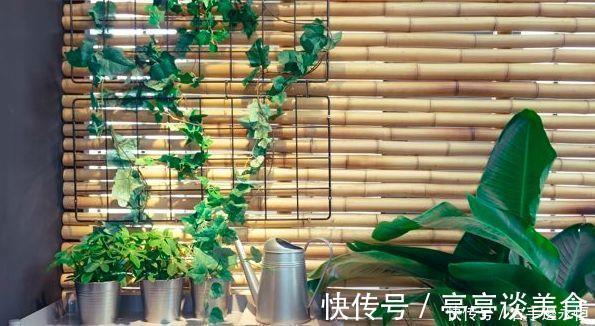 腐植酸|养花换下的土壤这样操作,就能无限循环