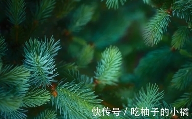 这首诗|崔涂的一首哲理诗，寥寥数语，却蕴含深刻，令人赞赏不已