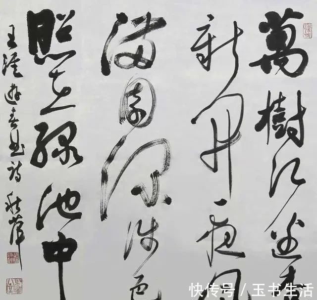 书法$胡秋萍的草书,成为书坛的赢家,一般人写不来