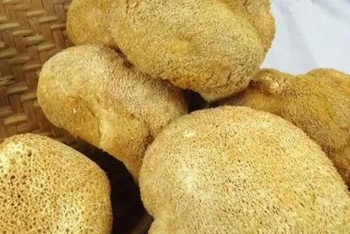 猴头菇|孩子反复积食,这些表现要引起重视,别再拖延