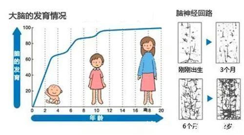 智力发育|李玫瑾孩子智力发育“高峰期”,有3个时期,用3招提高孩子智商