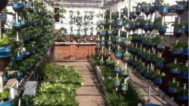 刘大爷|7旬老人捡了1500个塑料瓶,在自家后院搭起菜园子,全自动管