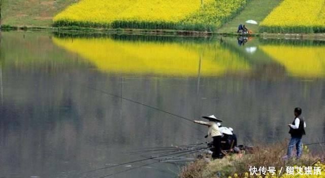 时间段|春钓时，每天这两个时间段钓鱼都是连竿，许多钓友竟然还在睡觉