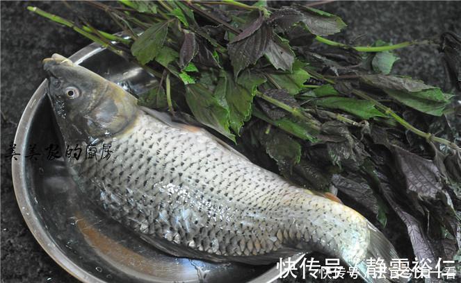 不管炖什么鱼，最忌讳加“它”！多数人都做错了，难怪鱼肉腥味大