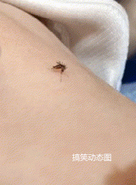 |【搞笑动态图】尴尬而不失礼貌