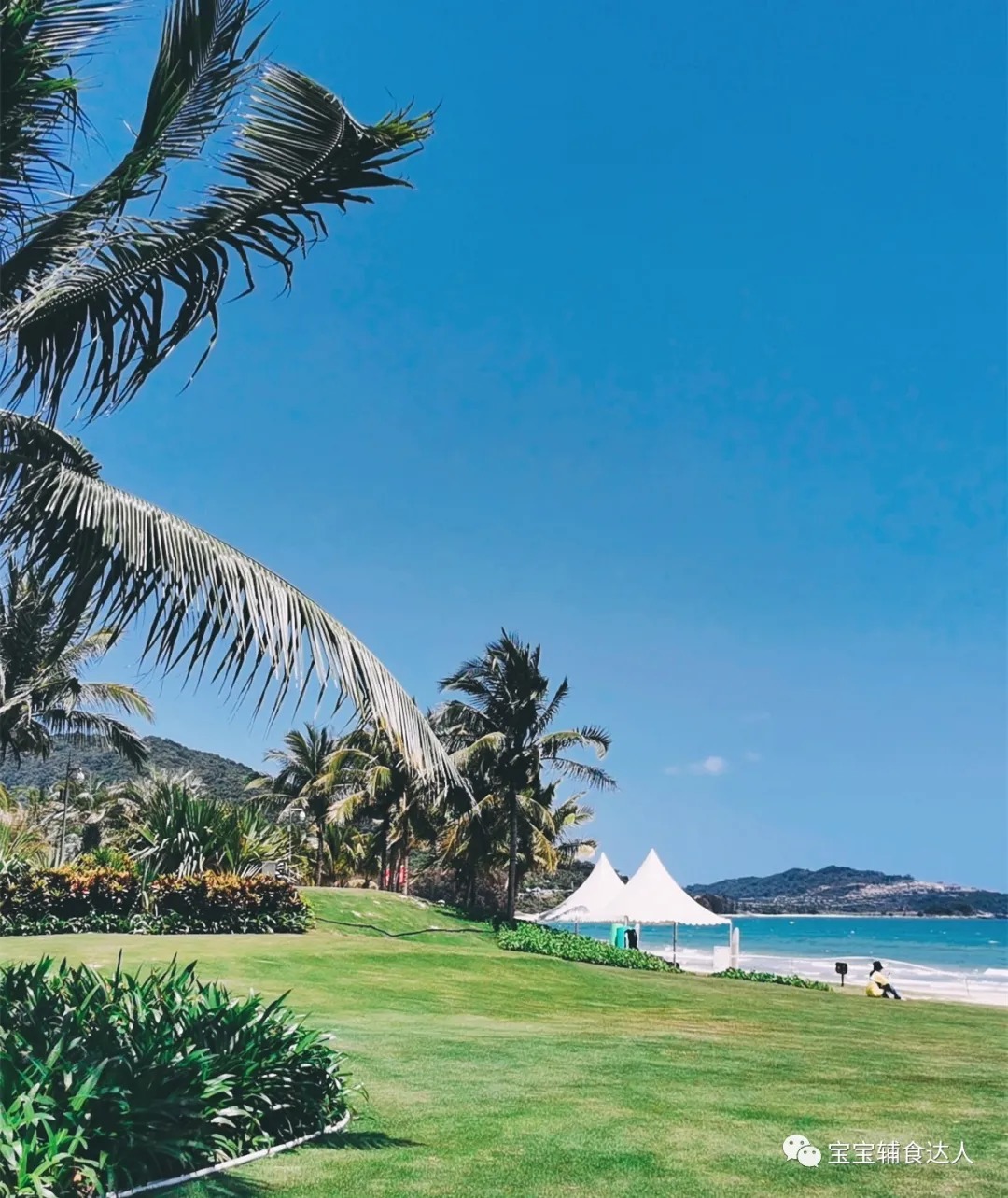 蛋清|香喷喷的，又健康！直接上锅蒸，好吃松软还不上火